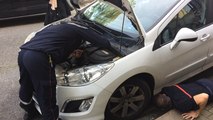 Un chaton coincé dans le moteur d'une voiture