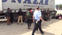 Göçmenler Kavga Etti, Tırdan 214 Kaçak Göçmen Çıktı