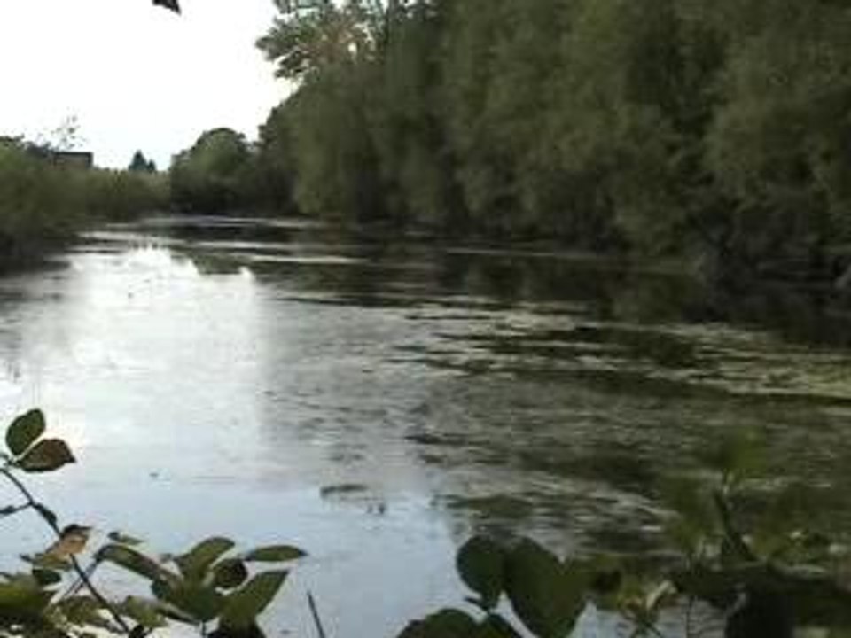 Mon lac à St-Louis