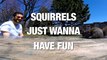 Squirrels Just Want to Have Fun