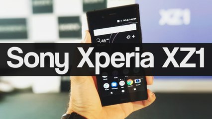 Sony Xperia XZ1 First Impression