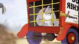 Tom and Jerry Cartoons Collection 015   The Bodyguard [1944]