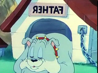 Tom and Jerry Cartoons Collection 044   Love That Pup [1949]