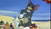Tom and Jerry Cartoons Collection 043   The Cat and the Mermouse [1949]