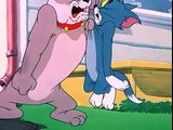 Tom and Jerry Cartoons Collection 060   Slicked up Pup [1951]