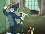 Tom and Jerry Cartoons Collection 055   Casanova Cat [1951]