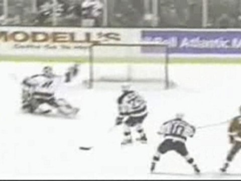 Nhl - great hockey plays, big hits and nice goals !