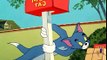 Tom and Jerry Cartoons Collection 079   Life with Tom [1953]