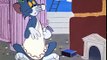 Tom and Jerry Cartoons Collection 117   It's Greek to Me ow [1961]
