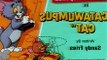 Tom and Jerry Cartoons Collection 261   Catawumpus Cat [1991]