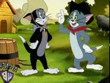 Tom and Jerry Cartoons Collection 330   24 Karat Kat [2007]