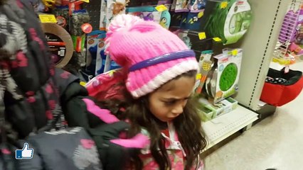 We Got A New Kitty Cat Surprise Reion Family Vlog