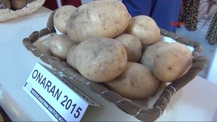 Niğde'de Milli Patateslerin Hasadı Yapıldı