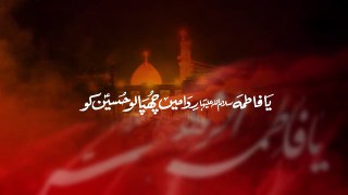 Ya Fatima (sa) Ridaa Main _ Mir Hasan Mir _ New Noha 2017 _1439 [HD]
