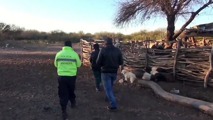 Une chèvre terrifiante avec un 'visage de démon' découverte en Argentine