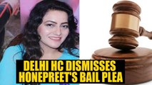 Honeypreet Insan denied anticipatory bail by Delhi HC | Oneindia News