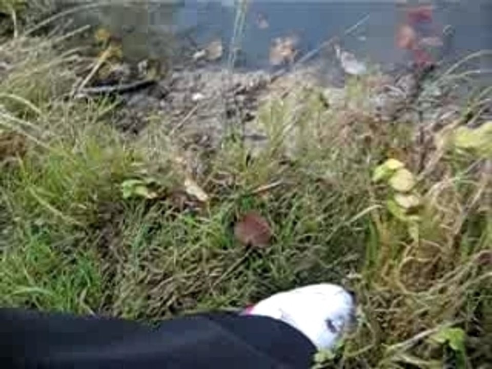 Une chaussure qui attérie dans un lac ...