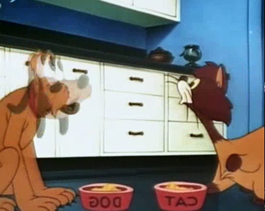 Mickey Mouse Clubhouse [ro]Pluto ,ColdTurkey