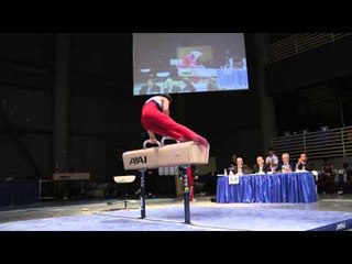 Hunter Justus - Pommel Horse - 2012 Winter Cup Prelims