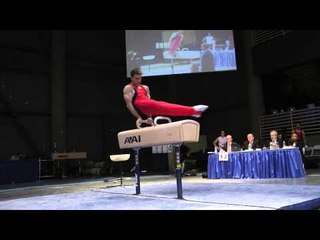 R.J. Heflin - Pommel Horse - 2012 Winter Cup Prelims