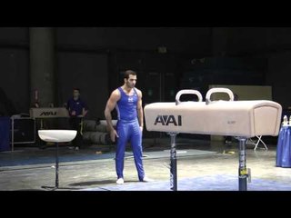 Danell Leyva - Pommel Horse - 2012 Winter Cup Prelims
