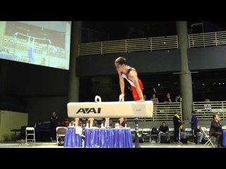 Jesse Silverstein - Pommel Horse - 2012 Winter Cup Prelims