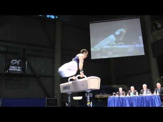 Paul Ruggeri - Pommel Horse - 2012 Winter Cup Finals