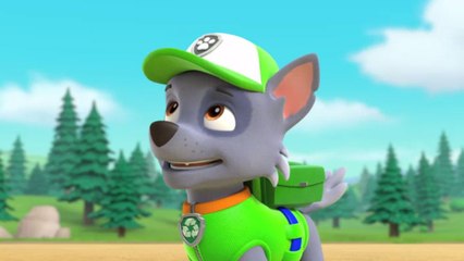 Paw Patrol : la Pat'Patrouille | Sablée dorée | NICKELODEON JUNIOR