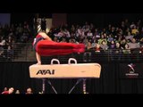 Chris Brooks - Pommel Horse - 2012 Kellogg's Pacific Rim Championships