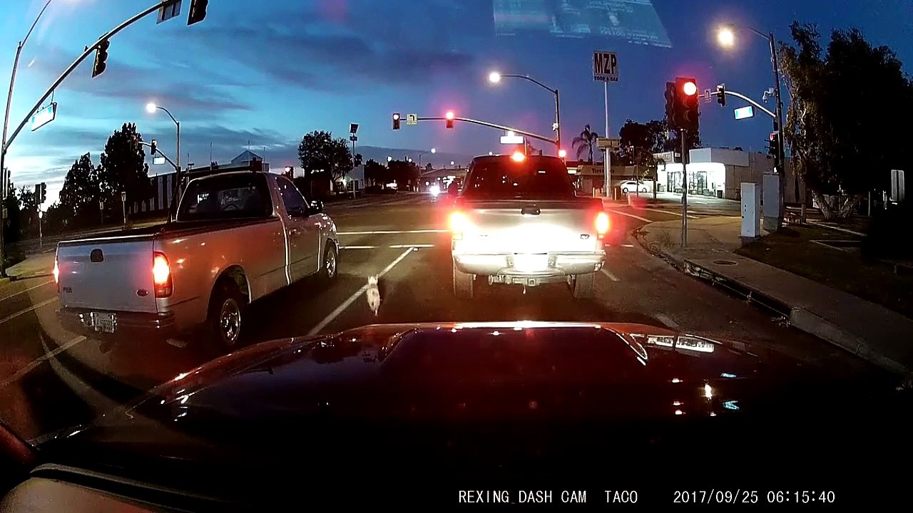 Ce pauvre chien en panique passe sous les roues d'une voiture... Plus de peur que de mal!