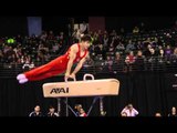 Guanhua Wu - Pommel Horse Finals - 2012 Kellogg's Pacific Rim Championships