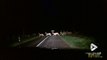 Embouteillage causé par.. des centaines de biches et chevreuils qui traversent la route !