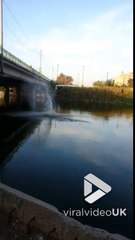 Saut du haut d'un lampadaire sur un pont dans la rivière !