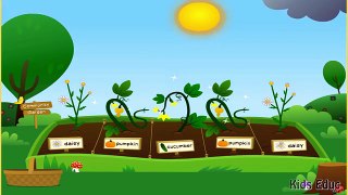 Growing Plants & Vegetables Funny Video For Children, Planting Seeds of Сhange