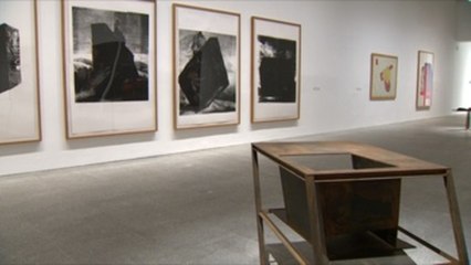 El Reina Sofía recibe la "mirada inteligente" de la galerista Soledad Lorenzo   (V)