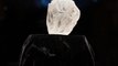 Le plus gros diamant du monde vendu pour 53 millions de dollars