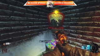 CAN YOU GET A PERK A HOLIC FROM FLAVOURED HEXED??, MY NEW FAVOURITE GOBBELGUM, ZOMBIE CHRONICLES BO3