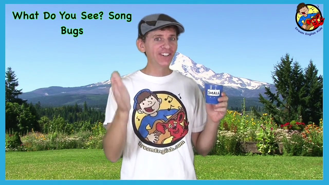 What Do You See? Song | Bugs and Insects | Learn English Kids