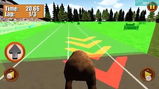 Fièvre Courses sauvage Animal 3d hd gameplay android / ios