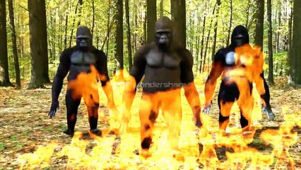 Budots Dance 2017 [MONKeY] By- Arnold Crodua II