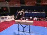 Bill Roth - Pommel Horse - 1996 U.S. Gymnastics Championships - Men