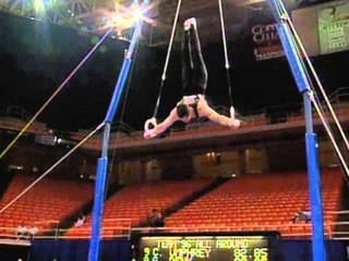 John Roethlisberger - Still Rings - 1996 U.S. Gymnastics Championships - Men