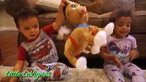 NEW DOG PEPPY PUPS TOY SURPRISE Kid Powered toy for Children Egg Surprise BLIND BAGS! ~ LaVignes