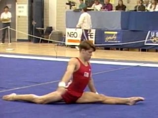 Chris Waller - Floor Exercise - 1993 Winter Cup