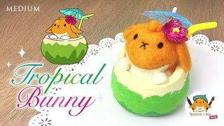 DIY: Tropical Bunny - Collab with Bunny+Me Show!