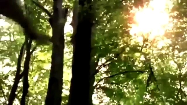 Monstruos marinos del futuro. 5 bestias extrañas que invadirán el mar.