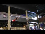 Glen Ishino - Horizontal Bar - 2013 Winter Cup Prelims