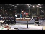 Austin Hodges - Pommel Horse - 2013 Winter Cup Prelims