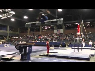 Donnell Whittenburg - Vault - 2013 Winter Cup Prelims