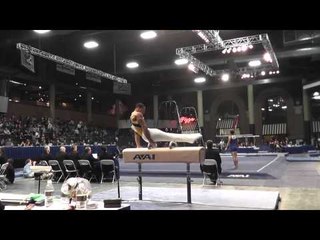 Stacey Ervin - Pommel Horse - 2013 Winter Cup Prelims